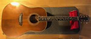 Washburn WSJ125K Acoustic Guitar