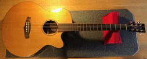Tanglewood Acoustic