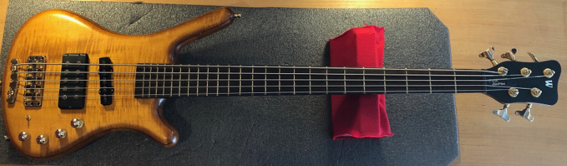 Warwick Bass Guitar Repairs, Setups, Upgrades Cheltenham