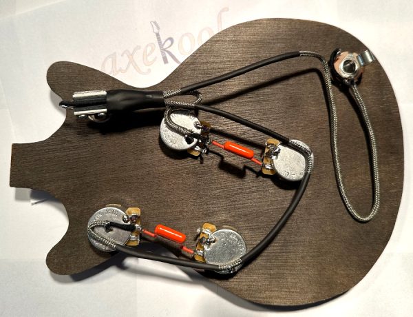 Hofner Hollowbody Vintage Wiring Harness, Hofner Wiring Loom