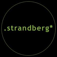 Strandberg Guitar Repairs, Setups, Upgrades Cheltenham