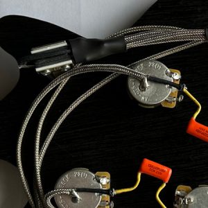 Hagstrom Wiring Harnesses