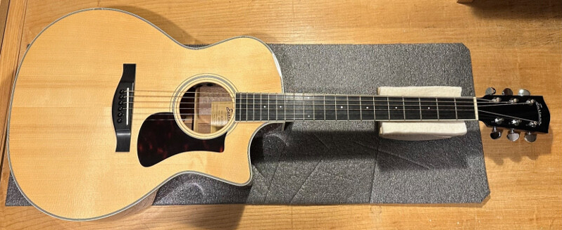 Eastman Acoustic Guitar