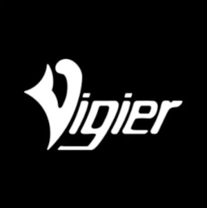 Vigier Guitar Repairs, Setups, Upgrades Cheltenham