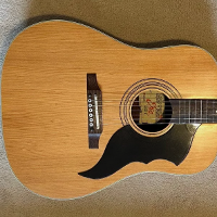 EKO Ranger VI Acoustic Guitar