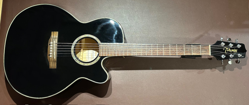 Takamine G Series