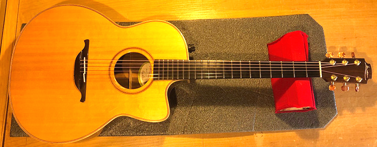 Larrivee Acoustic Guitar Repairs, Setups, Upgrades Cheltenham