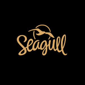 Seagull Acoustic Guitar Repairs, Setups, Upgrades Cheltenham