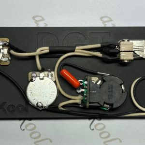 PRS DGT Vintage Wiring Harness with Coil Split